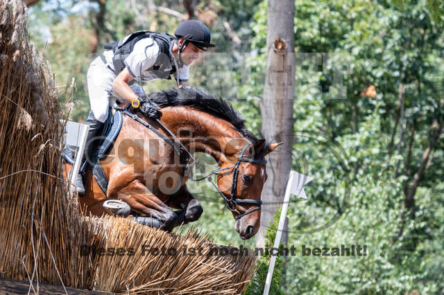 De Peelbergen (August 2020)