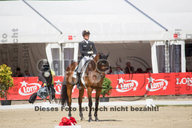 FEI European Championship Eventing 2017