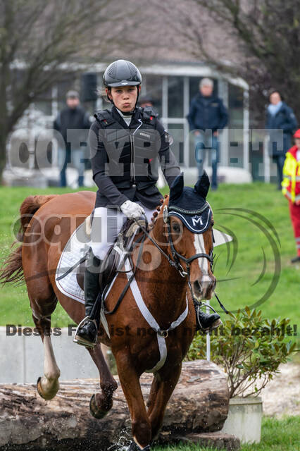 Goldene Schärpe 2020 - Pferde