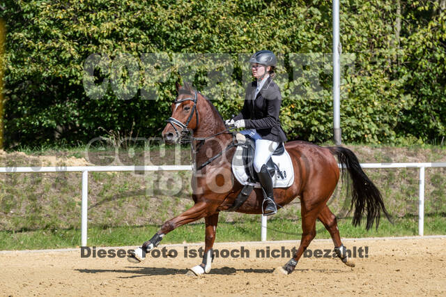 RFV Dinslaken-Hiesfeld (Herbstturnier)