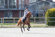 Eventing Langenfeld