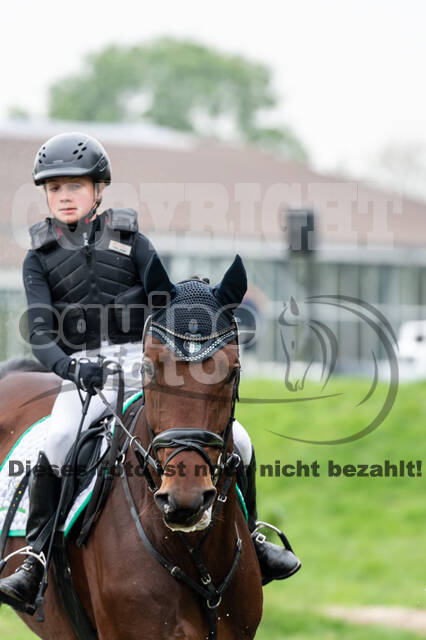 Goldene Schärpe 2020 - Pferde