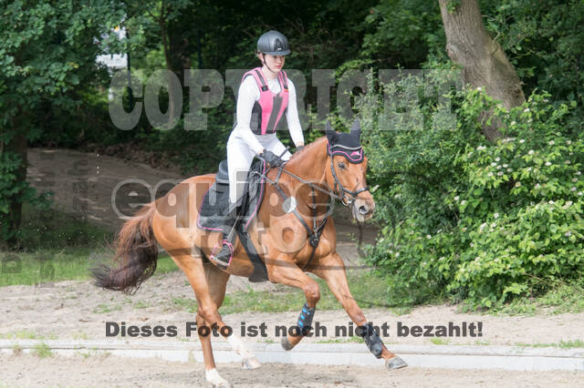 Eventing im Pferdesportzentrum Rheinland
