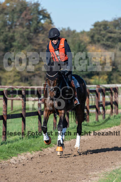 Vielseitigkeitslehrgang mit Jürg Kurbel (9.+10.11.2019)