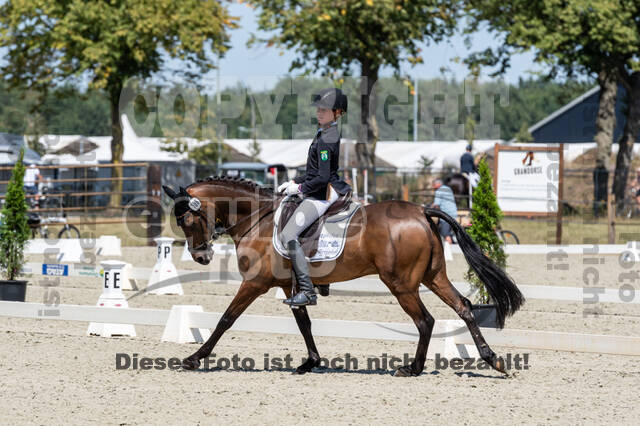 Kronenberg - De Peelbergen (August 2020)