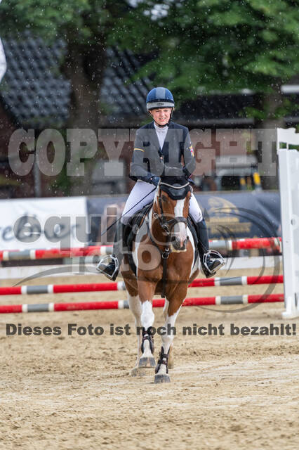 Goldene Schärpe 2021 - Ponys