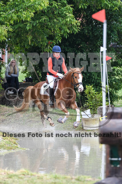 Late-Entry-Vielseitigkeit Langenfeld (11.+13./14.06.2020)