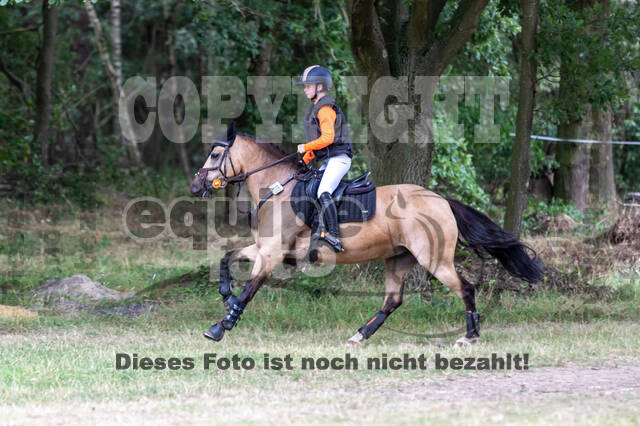 Late-Entry Vielseitigkeit Hamminkeln/Wesel (01.+02.08.2020)