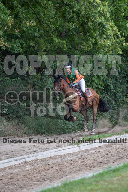 Landesturnier Rheinland, Vielseitigkeit, 22.+23.08.2020