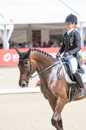 FEI European Championship Eventing 2017