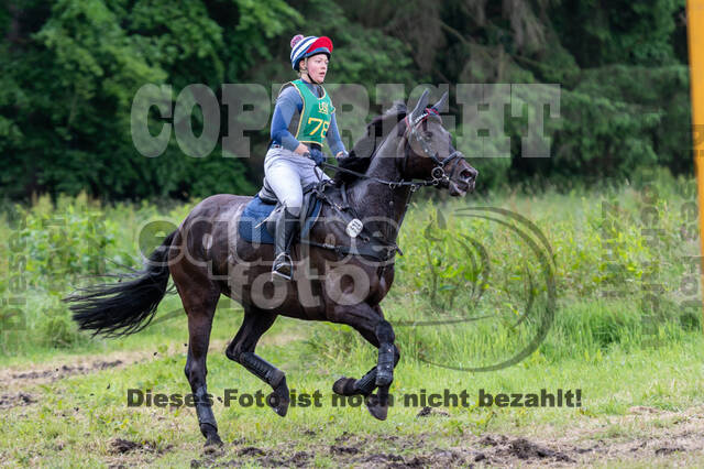 Westerstede Horse Trials (10.-13.06.2021)