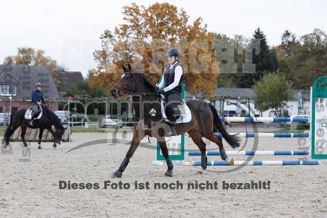 IGV Lehrgang der Sieger der Cups mit Frank Ostholt