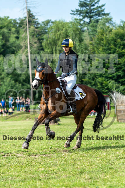 Goldene Schärpe 2021 - Ponys