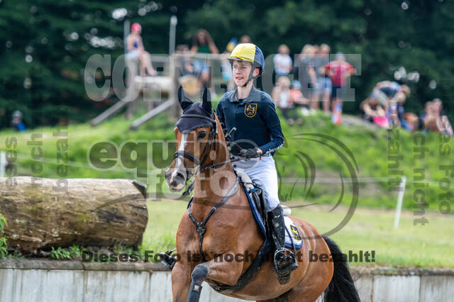 Goldene Schärpe 2021 - Ponys