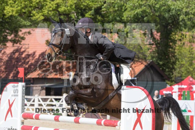 Sterne über Münster 2019 - CCI***S