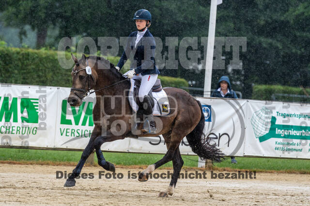 Goldene Schärpe 2021 - Ponys