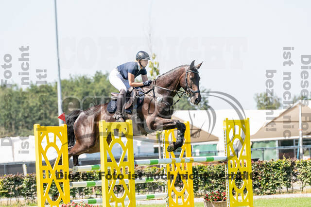 Kronenberg - De Peelbergen (August 2020)