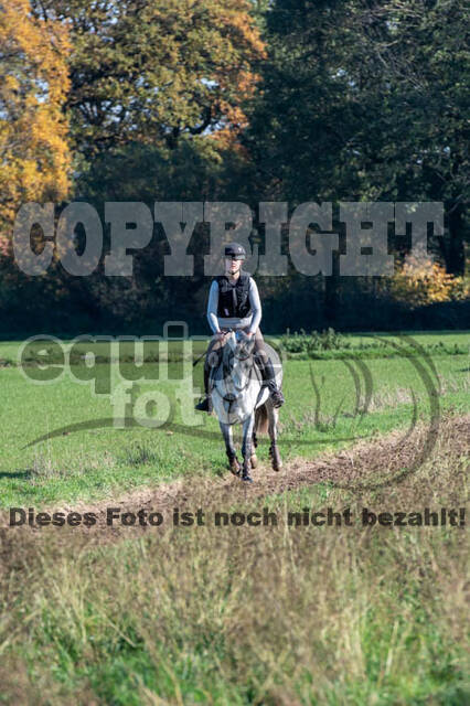 Vielseitigkeitslehrgang mit Jürg Kurbel (9.+10.11.2019)