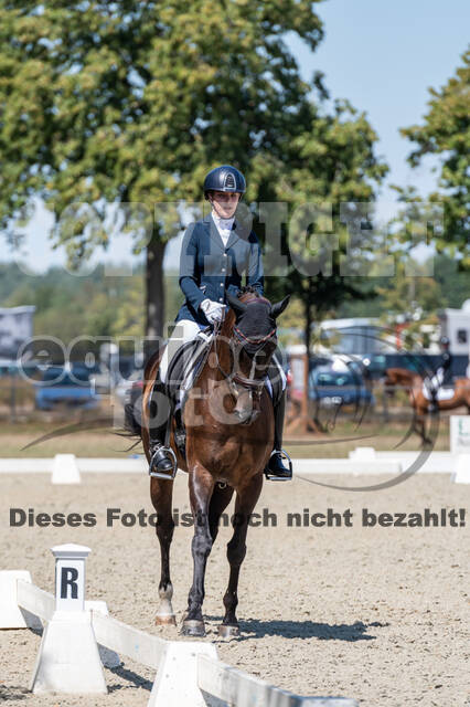 Kronenberg - De Peelbergen (August 2020)