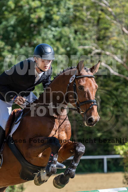 RFV Dinslaken-Hiesfeld (Herbstturnier)