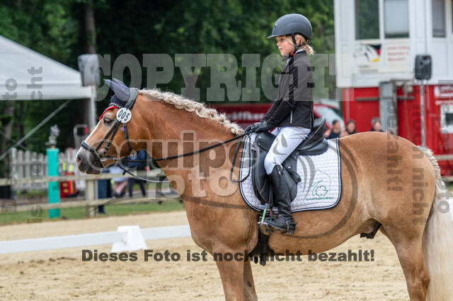 Goldene Schärpe 2021 - Ponys