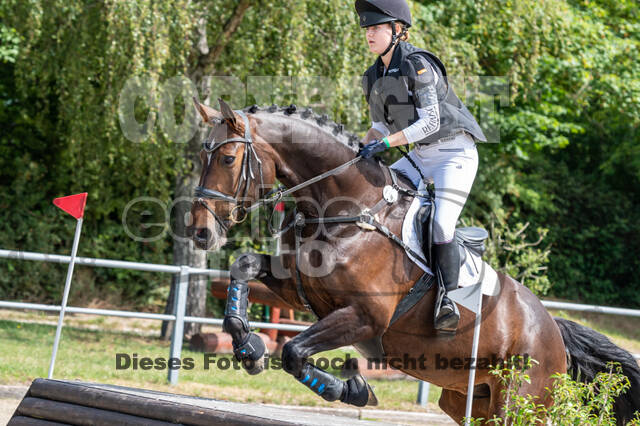 Late-Entry-Vielseitigkeit Langenfeld (11.+13./14.06.2020)