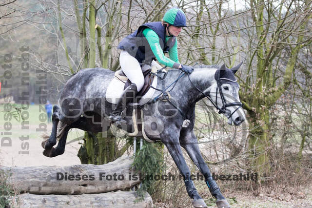 Jungpferdetag Hamminkeln