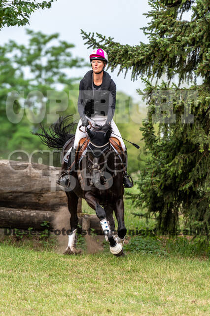 Late-Entry-Vielseitigkeit Langenfeld (11.+13./14.06.2020)