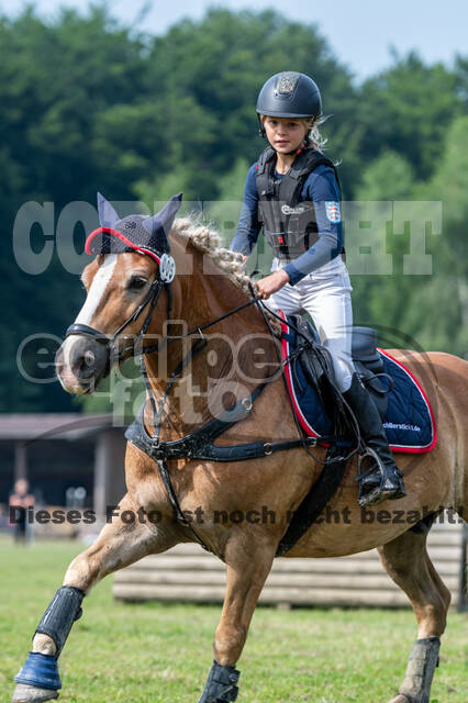 Goldene Schärpe 2021 - Ponys