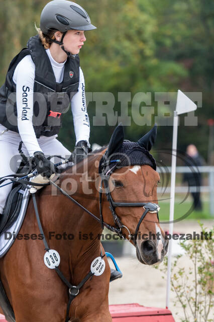 Goldene Schärpe 2020 - Pferde