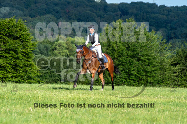 Bonn-Rodderberg Late-Entry-Vielseitigkeit (30.06.2020)