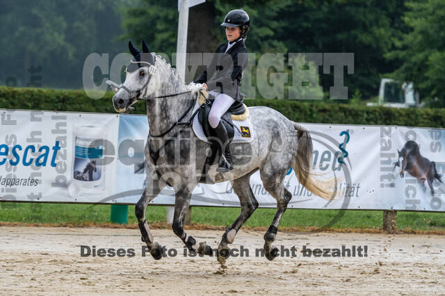 Goldene Schärpe 2021 - Ponys