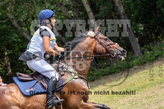 Late-Entry Vielseitigkeit Hamminkeln/Wesel (01.+02.08.2020)