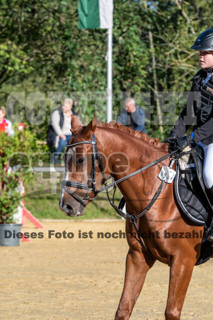 RFV Dinslaken-Hiesfeld (Herbstturnier)