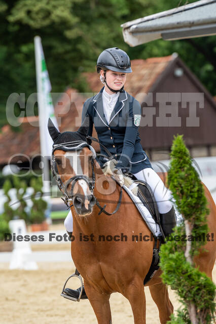 Goldene Schärpe 2021 - Ponys