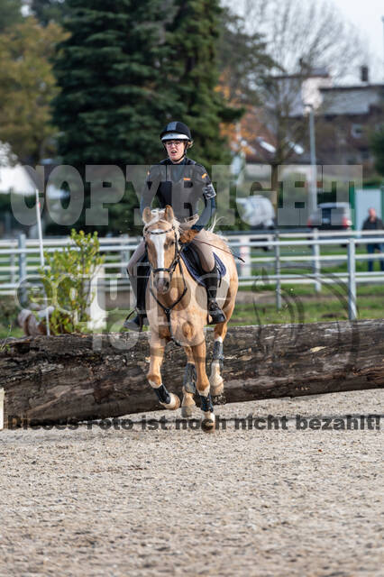 IGV Lehrgang der Sieger der Cups mit Frank Ostholt