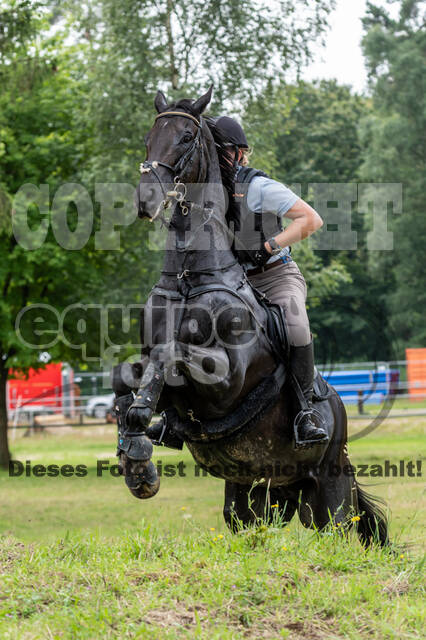 Hunter Geländetraining 10.07.2021 (Sonsbeck)