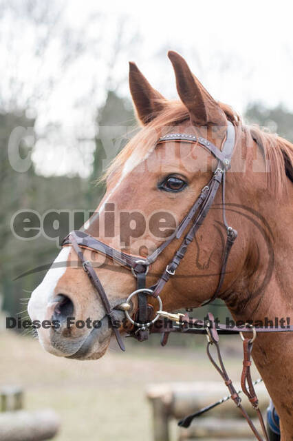 Geländetraining RSV St. Hubertus Wesel Obrighoven
