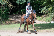 Late-Entry-Vielseitigkeit Langenfeld (11.+13./14.06.2020)