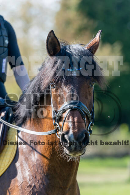 Geländetraining Wesel bei Jarno (18.04.2022)