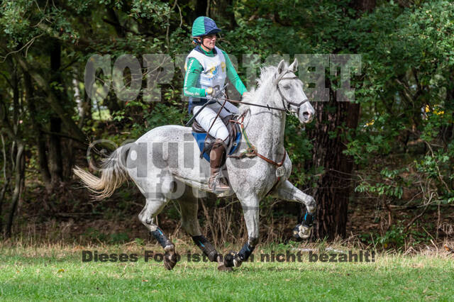 Vielseitigkeit RSV Wesel Obrighoven (26.+27.09.2020)