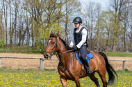 Geländetraining ZRFV Hamminkeln (24+25.04.2021)