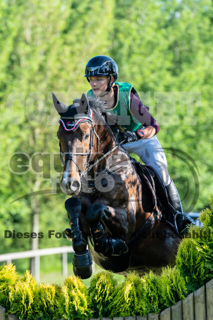 Westerstede Horse Trials (10.-13.06.2021)