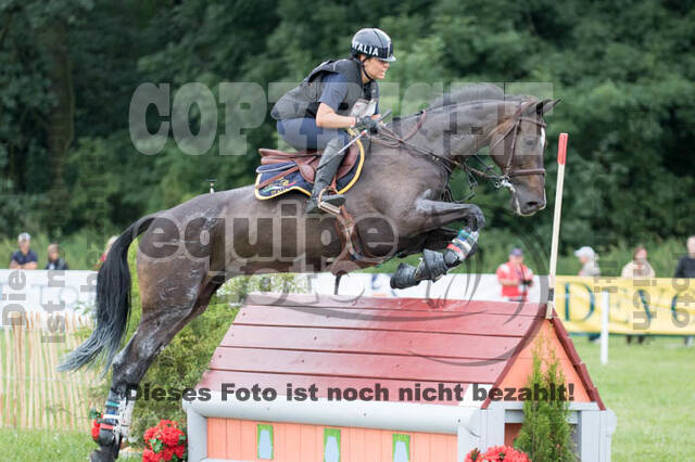 FEI European Championship