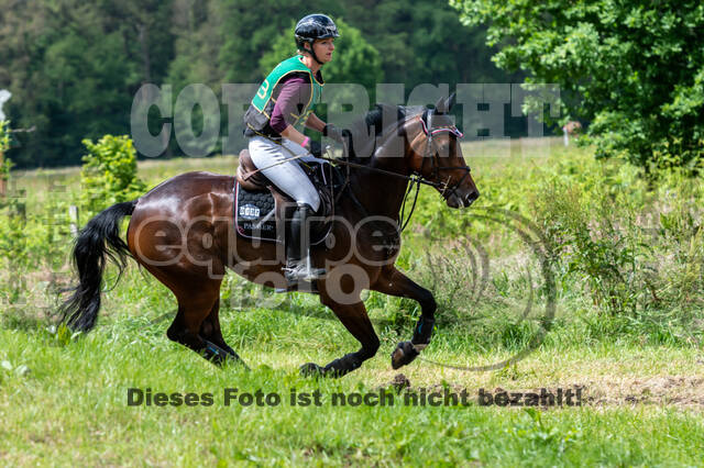 Westerstede Horse Trials (10.-13.06.2021)