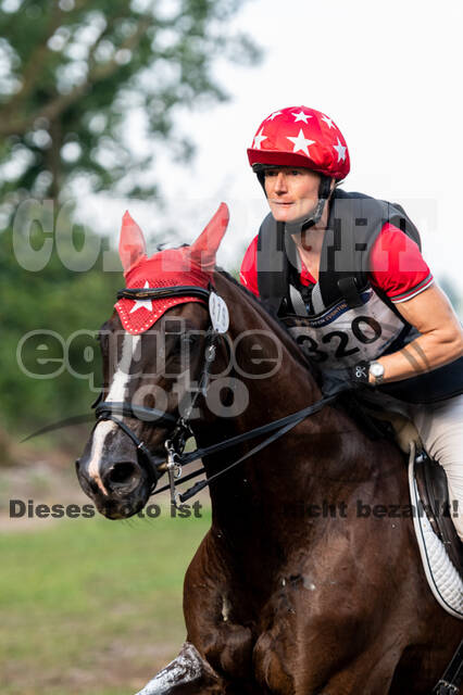 De Peelbergen (August 2020)