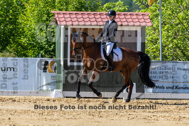 Westerstede Horse Trials 2021