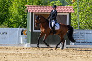 Westerstede Horse Trials 2021