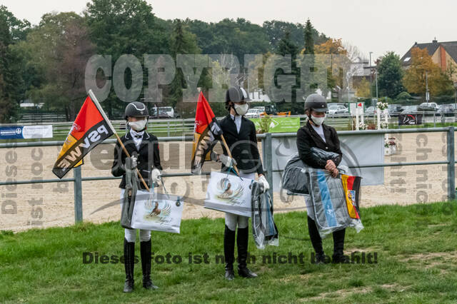 Goldene Schärpe 2020 - Pferde