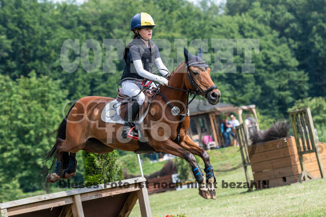 Goldene Schärpe 2021 - Ponys